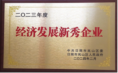經(jīng)濟(jì)發(fā)展新秀企業(yè)